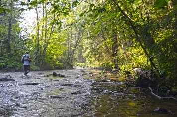 The adventure begins The adventure begins