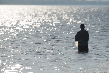 Paul in the sun Paul in the sun