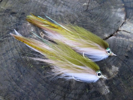 Olive Semper/Deceiver Olive Semper/Deceiver