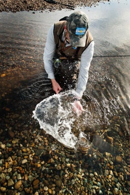 Letting go Letting go