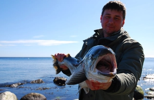 It's hard to hide the smile It's hard to hide the smile