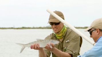 A bonefish