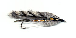 Grand Lake Streamer