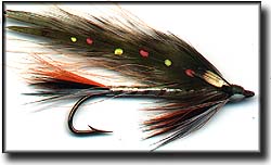 BROOK TROUT Image