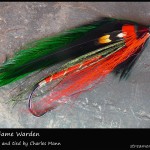 The Maine Game Warden Streamer - Charlie Mann