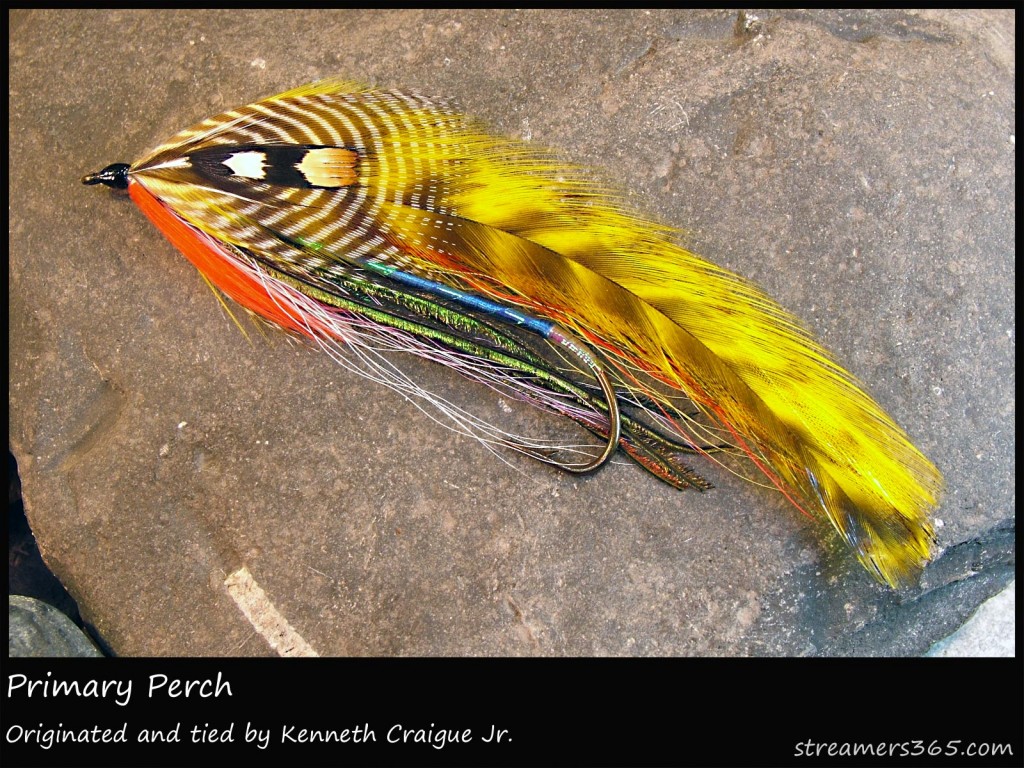 #28 Primary Perch - Ken Craigue Jr.