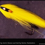 #168 Canary - Darren MacEachern #168 Canary - Darren MacEachern