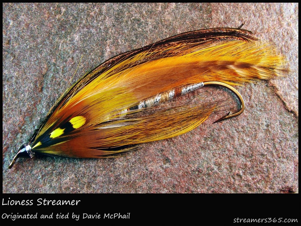 #323 Lioness Streamer - Davie McPhail