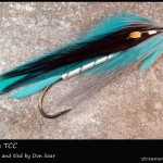 #325 Carolina - Team Colors Collection - Don Soar