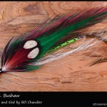 #357 The Mrs. Bushaw - Bill Chandler