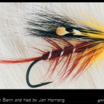 #54-2013 - Railbird tied by Jon Harrang