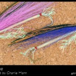 #79-2013 Champlain Jane - Charlie Mann