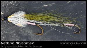 Nethan Streamer - Jim Bennett