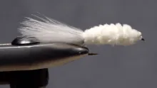 Video thumb for Shenk's Minnow