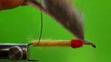 Video thumb for Wool Head Sculpin
