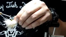 Video thumb for Articulated Trout Slider