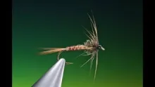 Video thumb for Cruncher