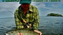 Video thumb for There - out of our element