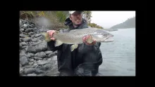 Video thumb for NZ Last Part
