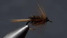 Video thumb for Gallagher Special