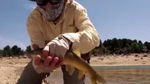 Video thumb for SUMMER, summer