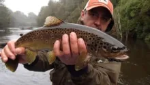 Video thumb for Fly Fishing Trout Chiloé