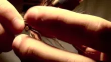 Video thumb for Boogaloo Shrimp