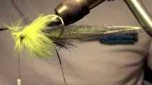 Video thumb for HCFT 36 - Mossy Mess