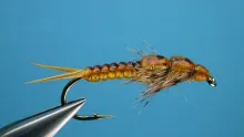 Video thumb for D-Rib Golden Stone Fly
