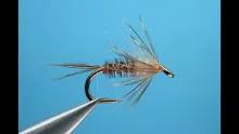Video thumb for PMD Transition Flymph