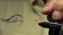 Video thumb for Sucker Spawn