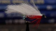 Video thumb for Zonker