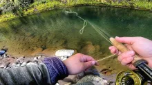 Video thumb for Big Fish from a forbidden river!