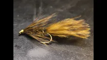 Video thumb for Suspending Carp Fly