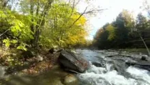 Video thumb for 3 Weights and Small Streams: Fall Fly Fishing in Vermont