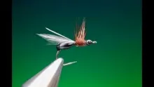 Video thumb for Flying Mutant