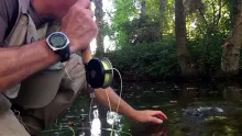 Video thumb for Trout Love part four