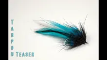 Video thumb for Tarpon Teaser