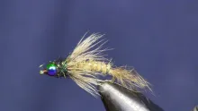 Video thumb for Awesome Possum Nymph