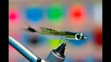 Video thumb for Feather Tail Flash Surf Candy