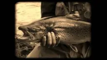 Video thumb for laponia adventure summer 2011