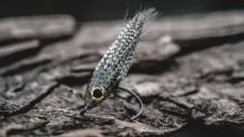 Video thumb for Mallard Baitfish
