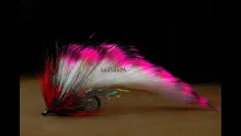 Video thumb for Predator's 2 Lure