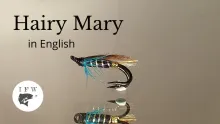 Video thumb for Hairy Mary