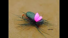 Video thumb for Foam Beetle