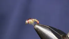 Video thumb for Triple Threat Nymph