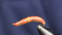 Video thumb for Chewee Worm