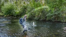 Video thumb for Tiny river, Big fish!