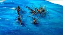 Video thumb for Black Midge Hopper