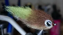 Video thumb for Everglades Special